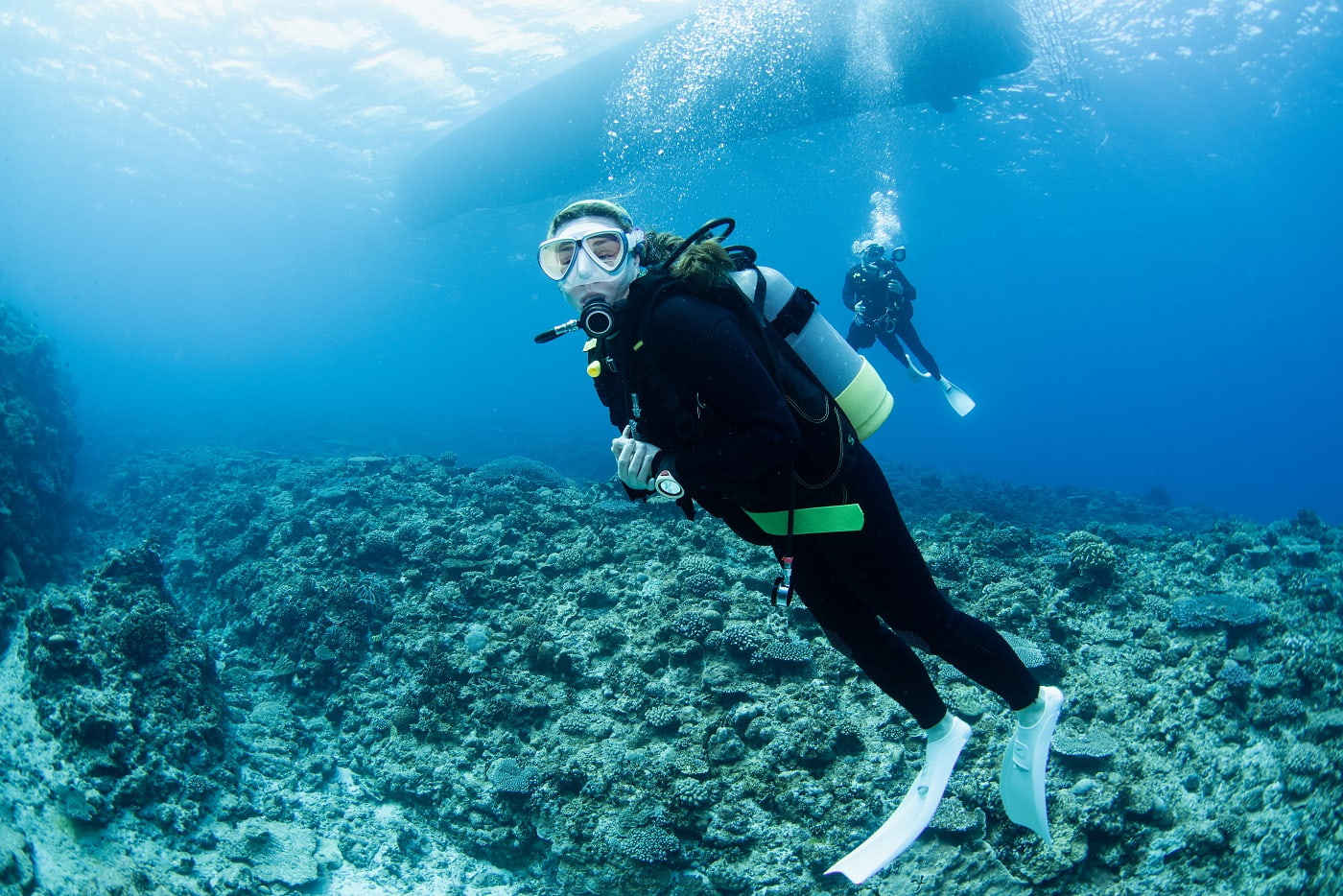 guest during the dive