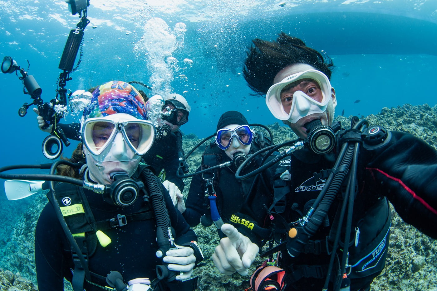 with guests underwater