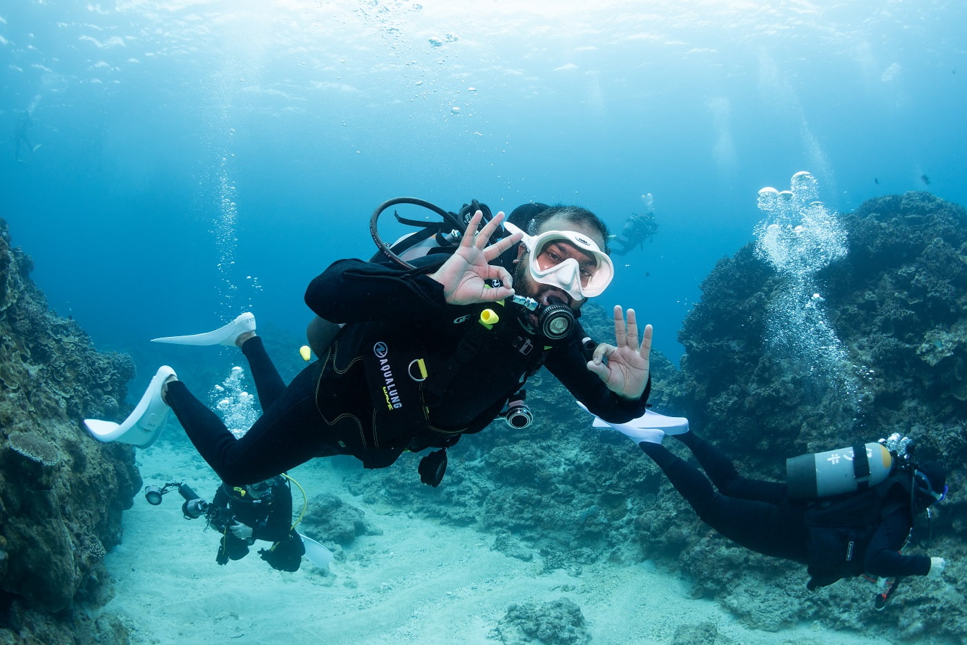 guests during the dive