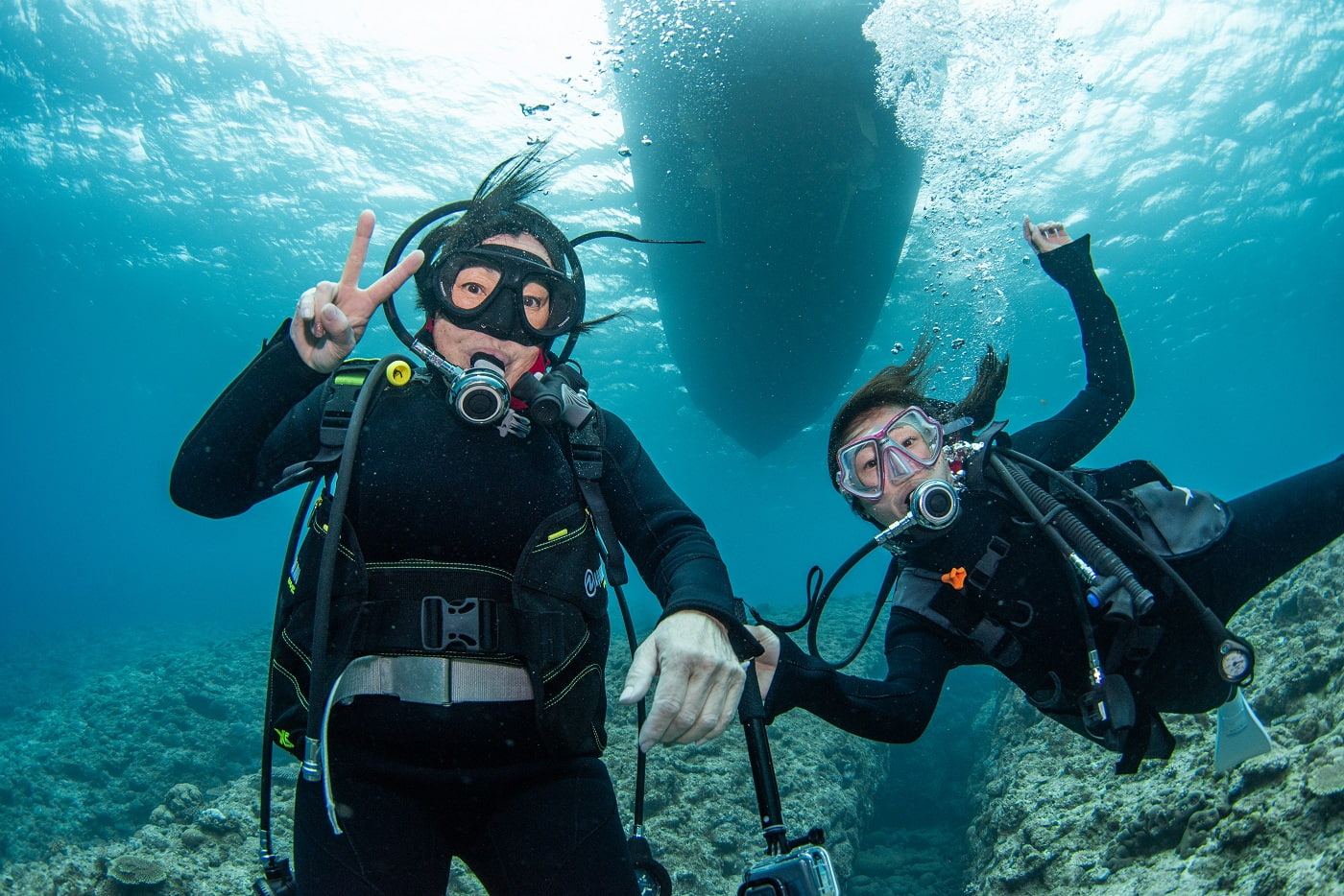 guests during the dive