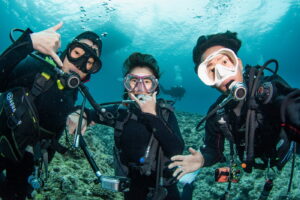 Afternoon Diving in the Chibishi Islands With Guests From the USA and France! Sea Turtles