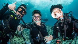 Afternoon Diving in the Chibishi Islands With Guests From the USA and France! Sea Turtles