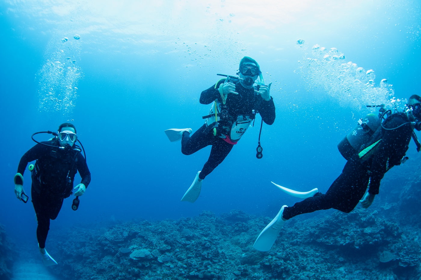 guests during the dive