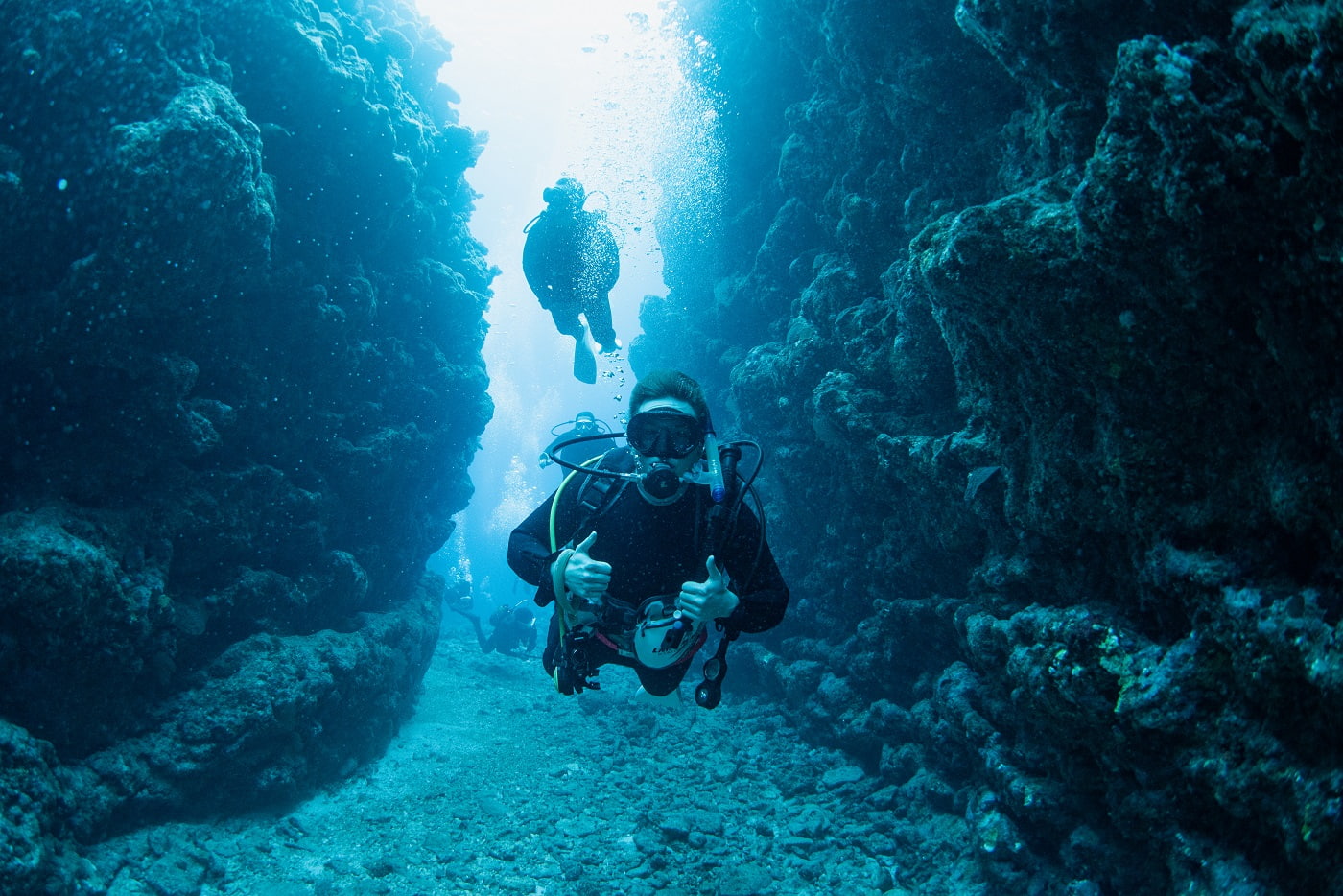 guests during the dive