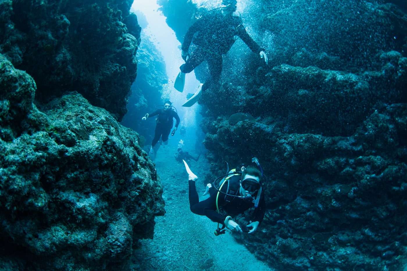 guests during the dive
