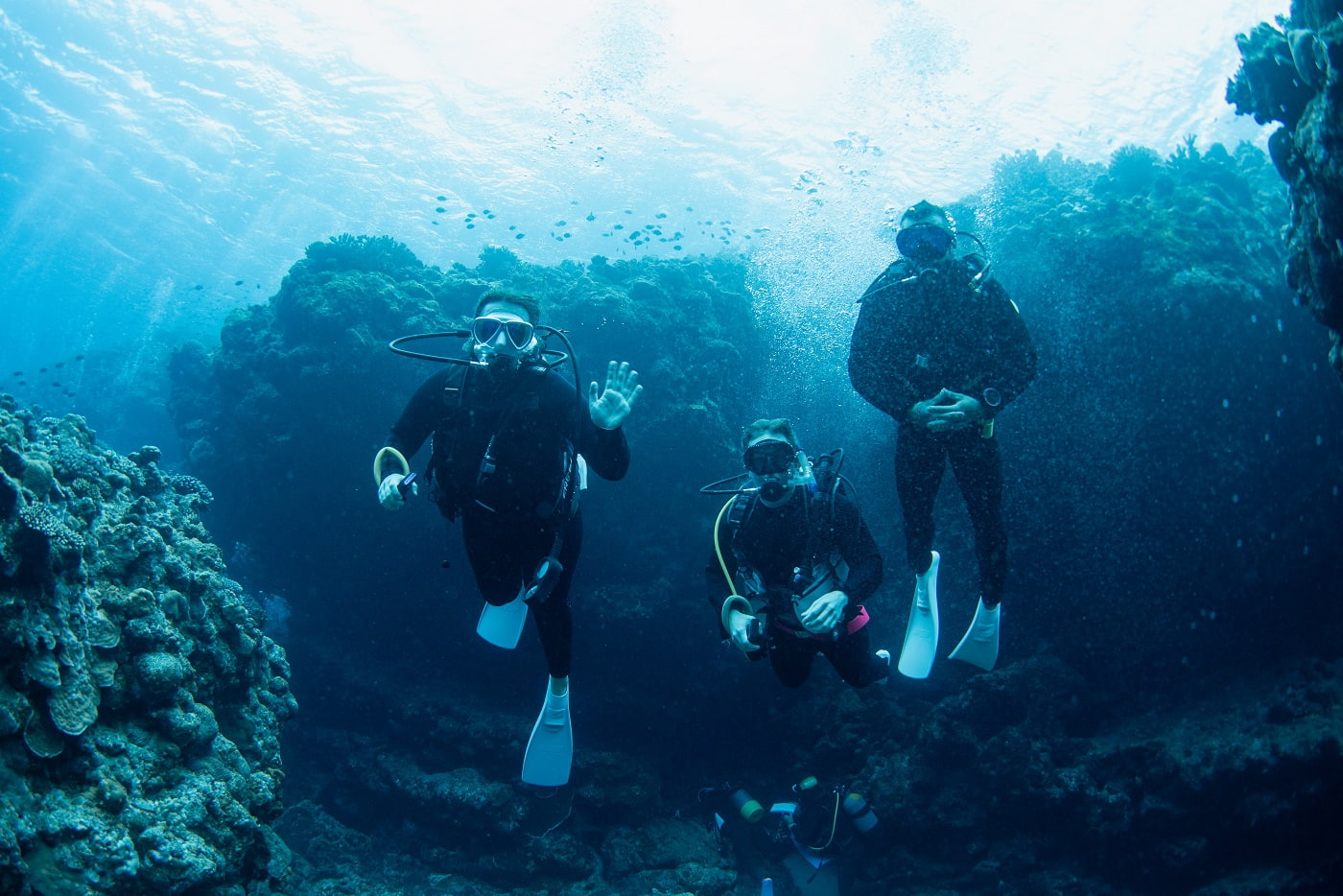 guests during the dive