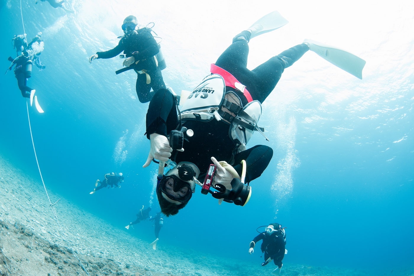 guests during the dive in the kerama islands