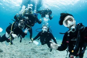 Diving in the Kerama Islands with guests from the USA, Canada, Australia, and France! Sea turtles and sharks