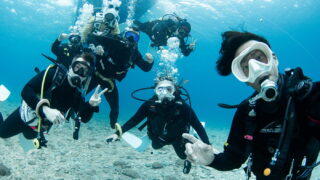 Diving in the Kerama Islands with guests from the USA, Canada, Australia, and France! Sea turtles and sharks