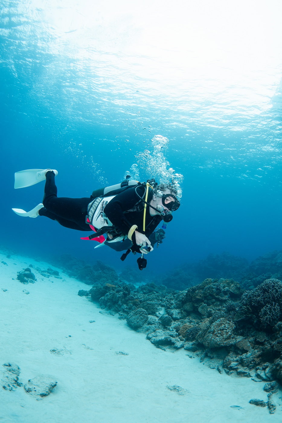 guests during the dive in the kerama islands