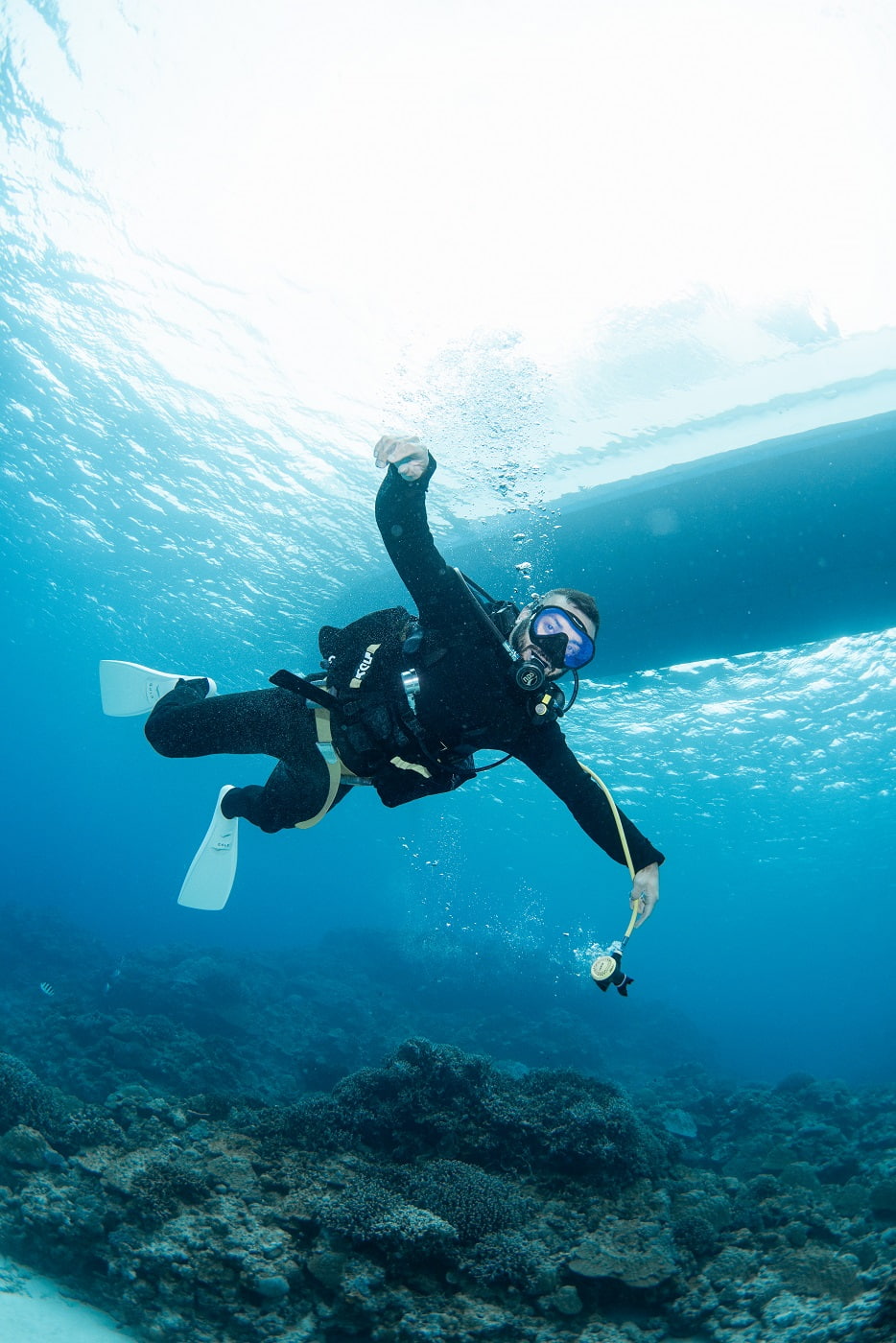 guests during the dive in the kerama islands