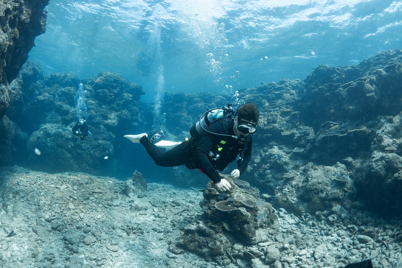 guests during the dive in the kerama islands