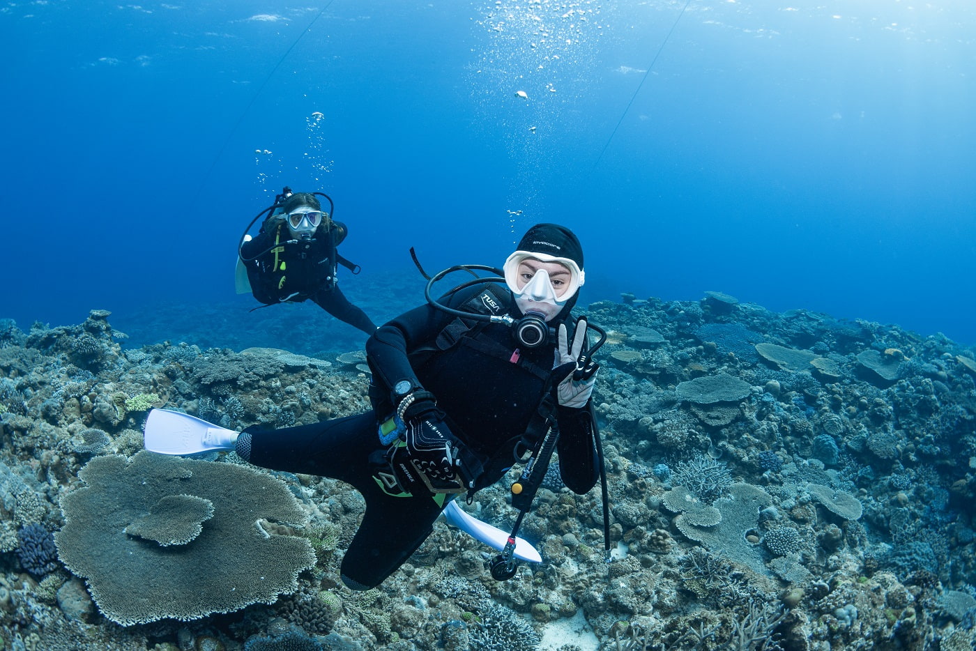 guests during the dive in the kerama islands