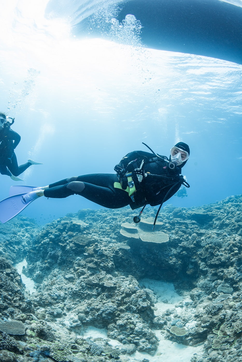 guests during the dive in the kerama islands