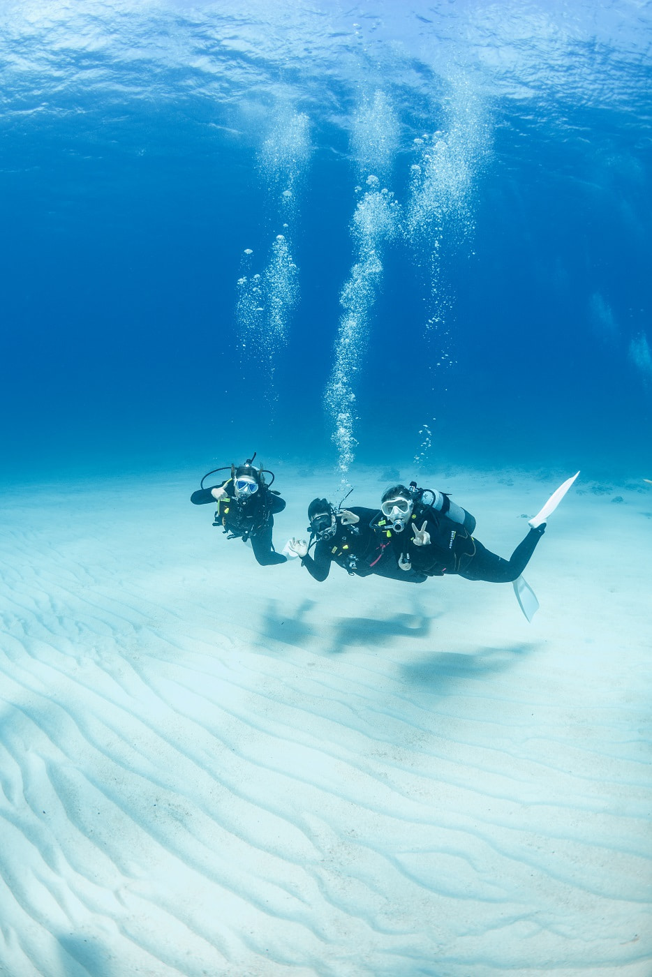 guests during the dive in the kerama islands