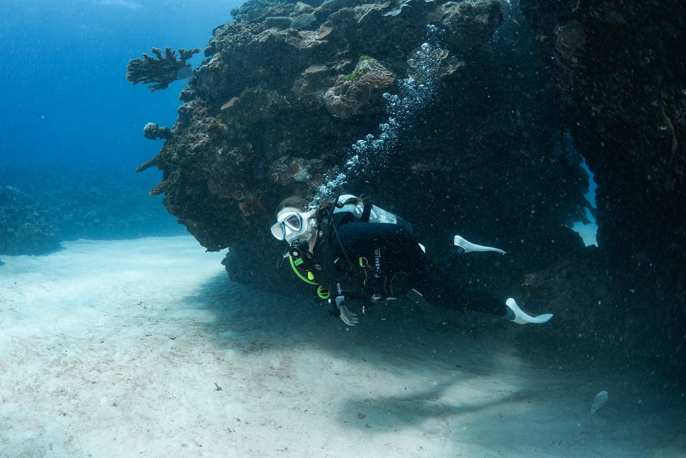 guests during the dive in the kerama islands