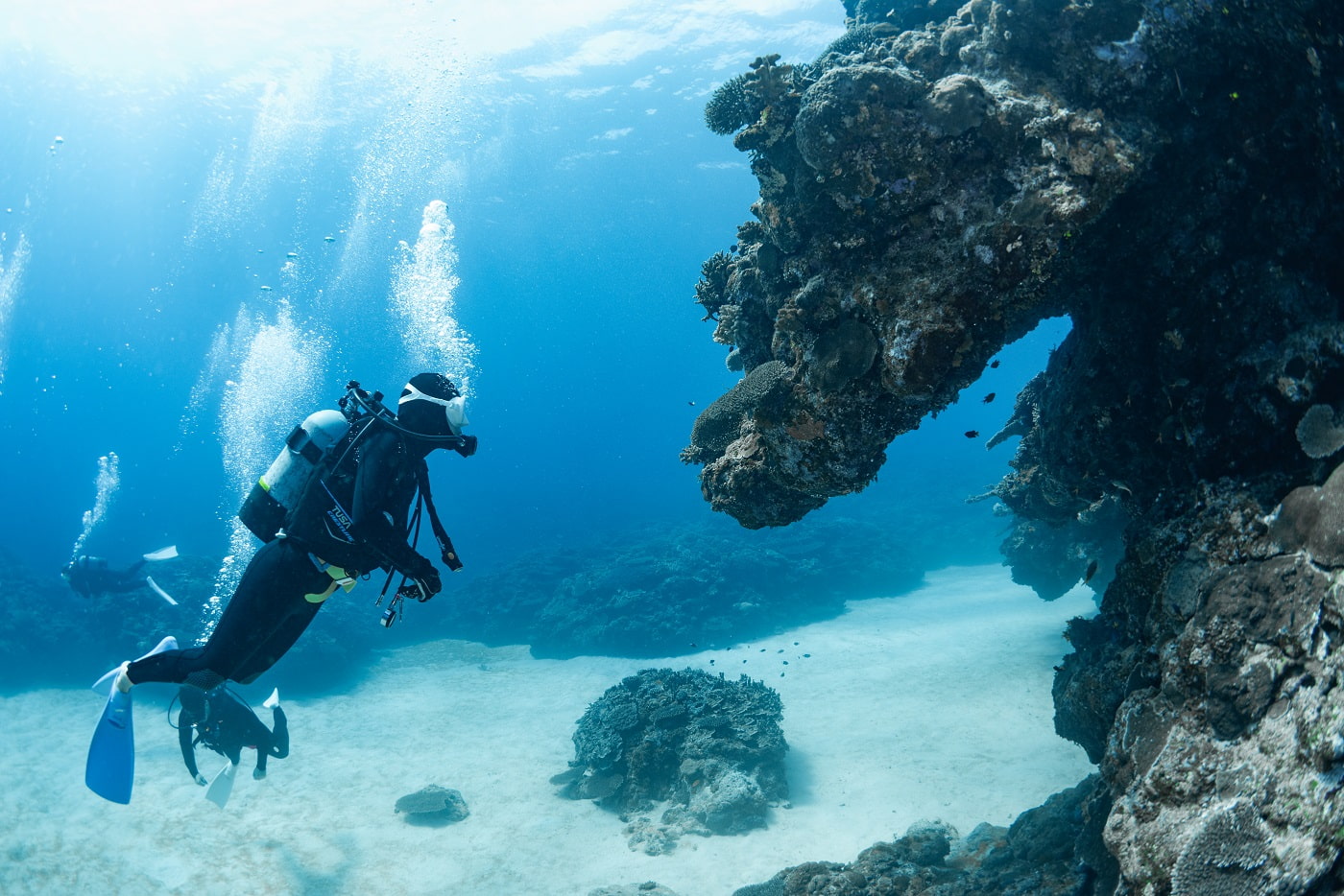guests during the dive in the kerama islands