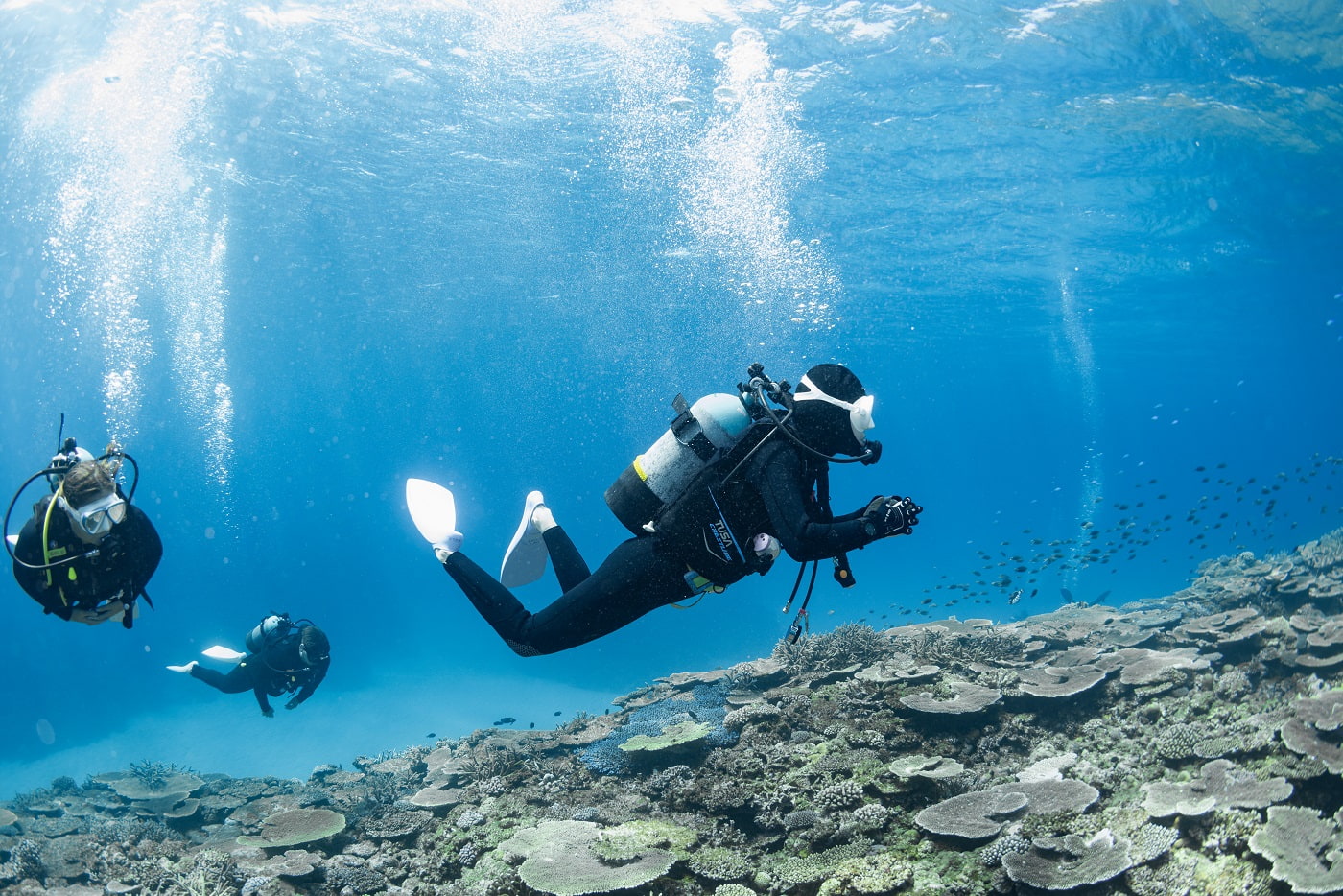 guests during the dive in the kerama islands