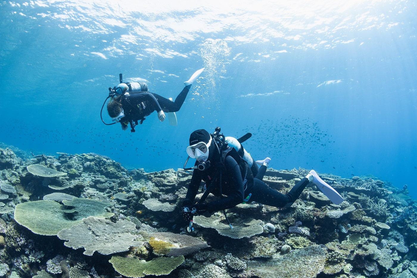 guests during the dive in the kerama islands