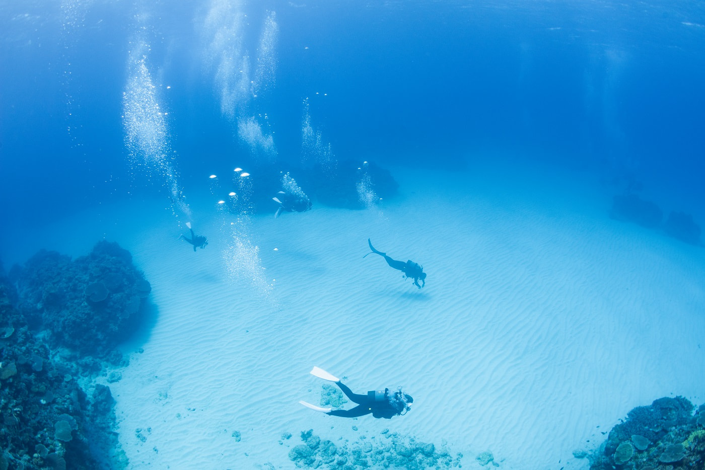 guests during the dive in the kerama islands