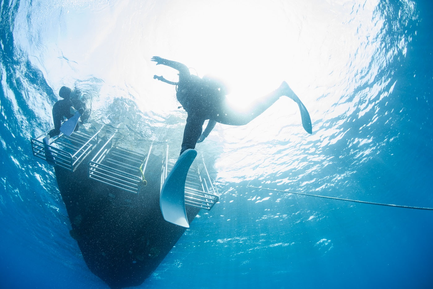 guests during the dive in the kerama islands