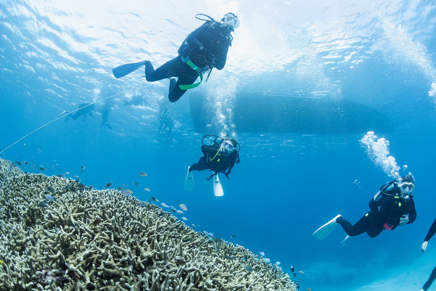 guests during the dive in the kerama islands