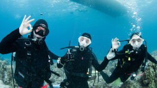Diving in the Kerama Islands with guests from Spain! Sea snakes and sea turtles