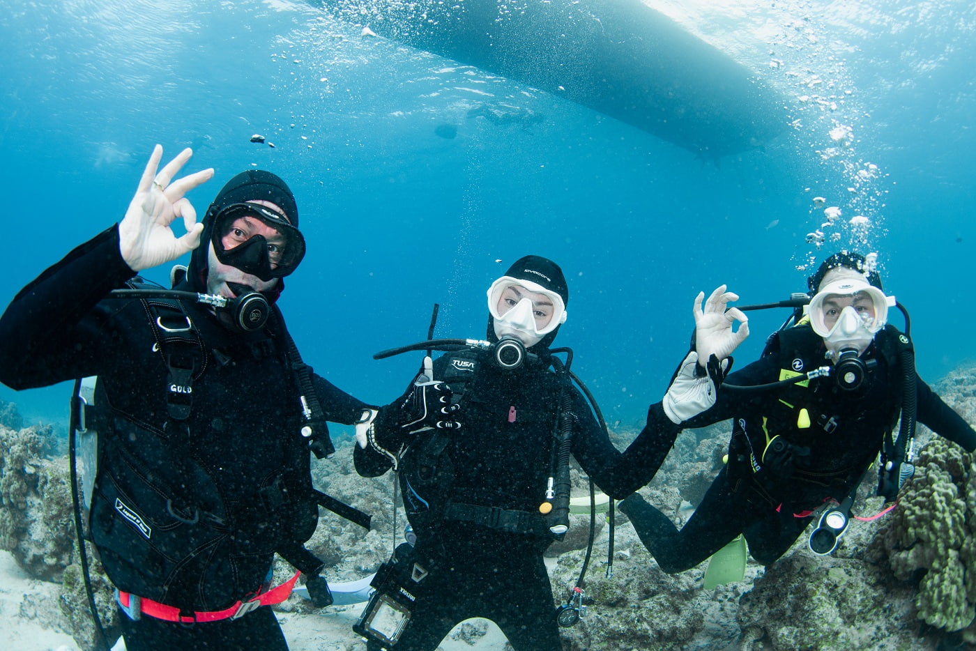 guests during the dive