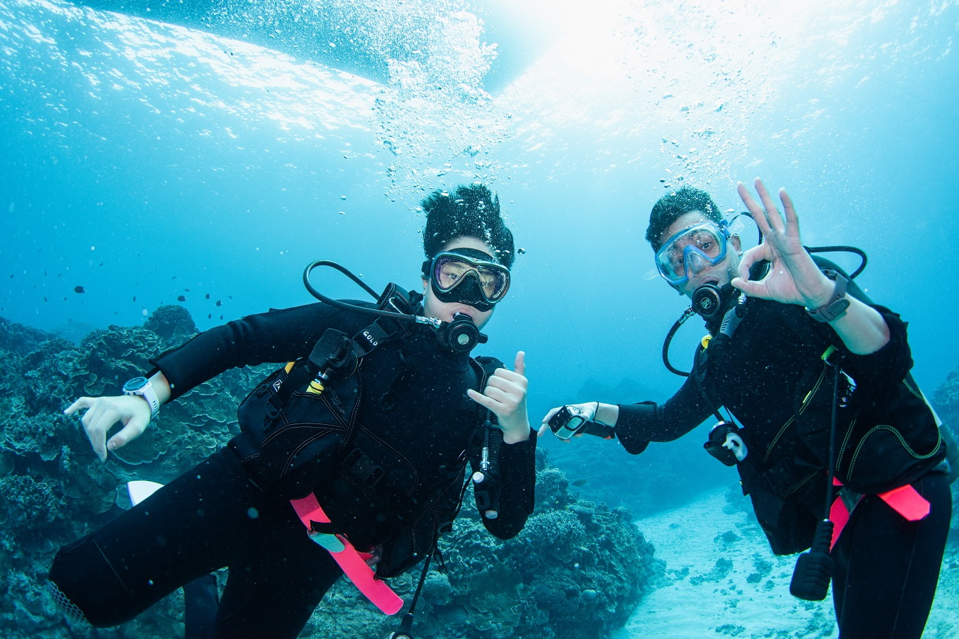 guests during the dive