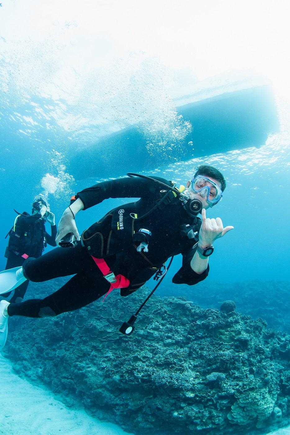 guests during the dive