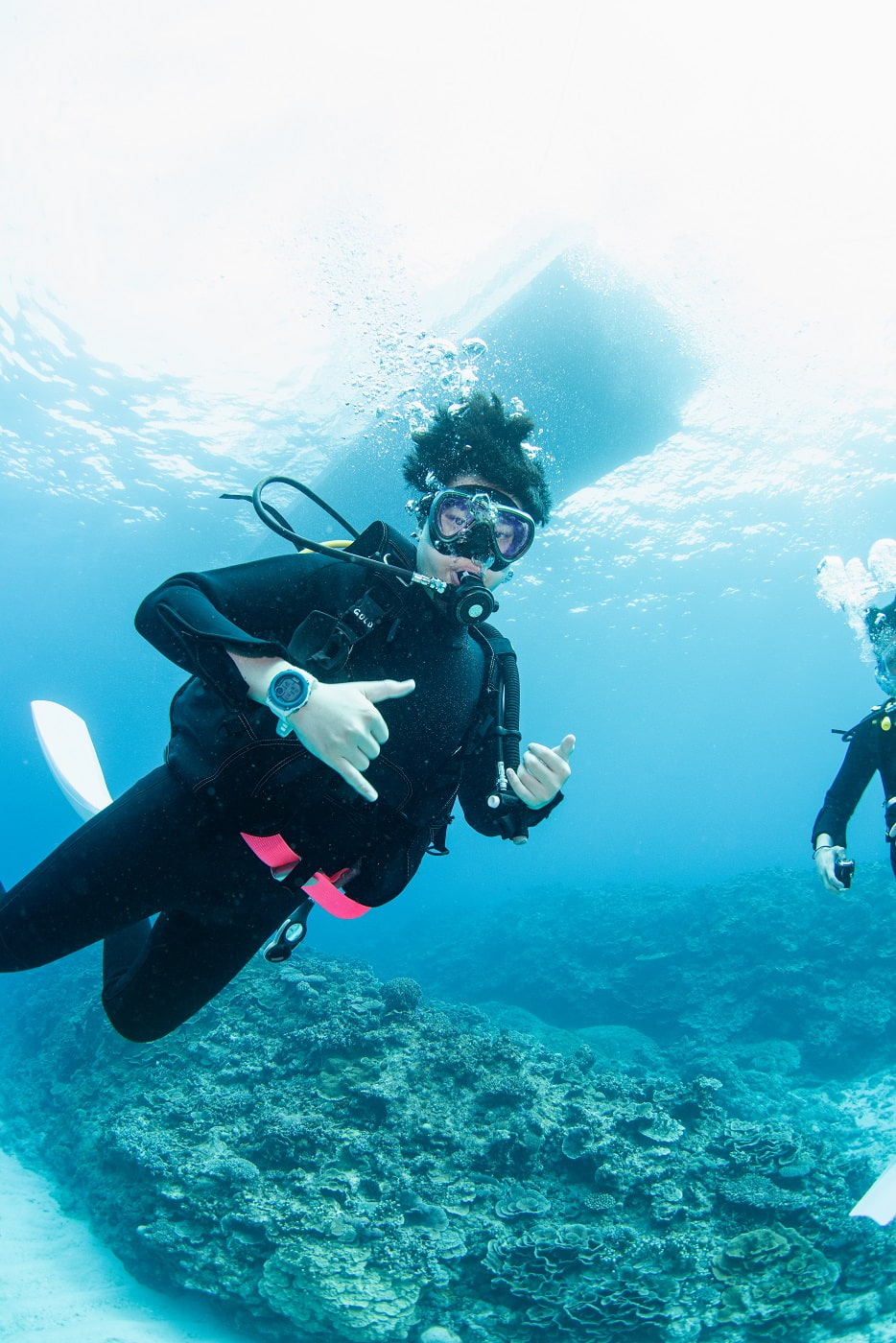 guests during the dive