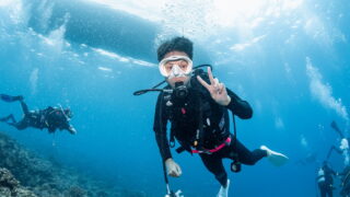 Diving in the Kerama Islands With Guests From Taiwan! Sharks and Underwater Topography