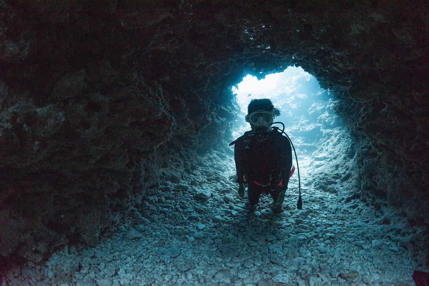 guest during the dive in the kerama islands