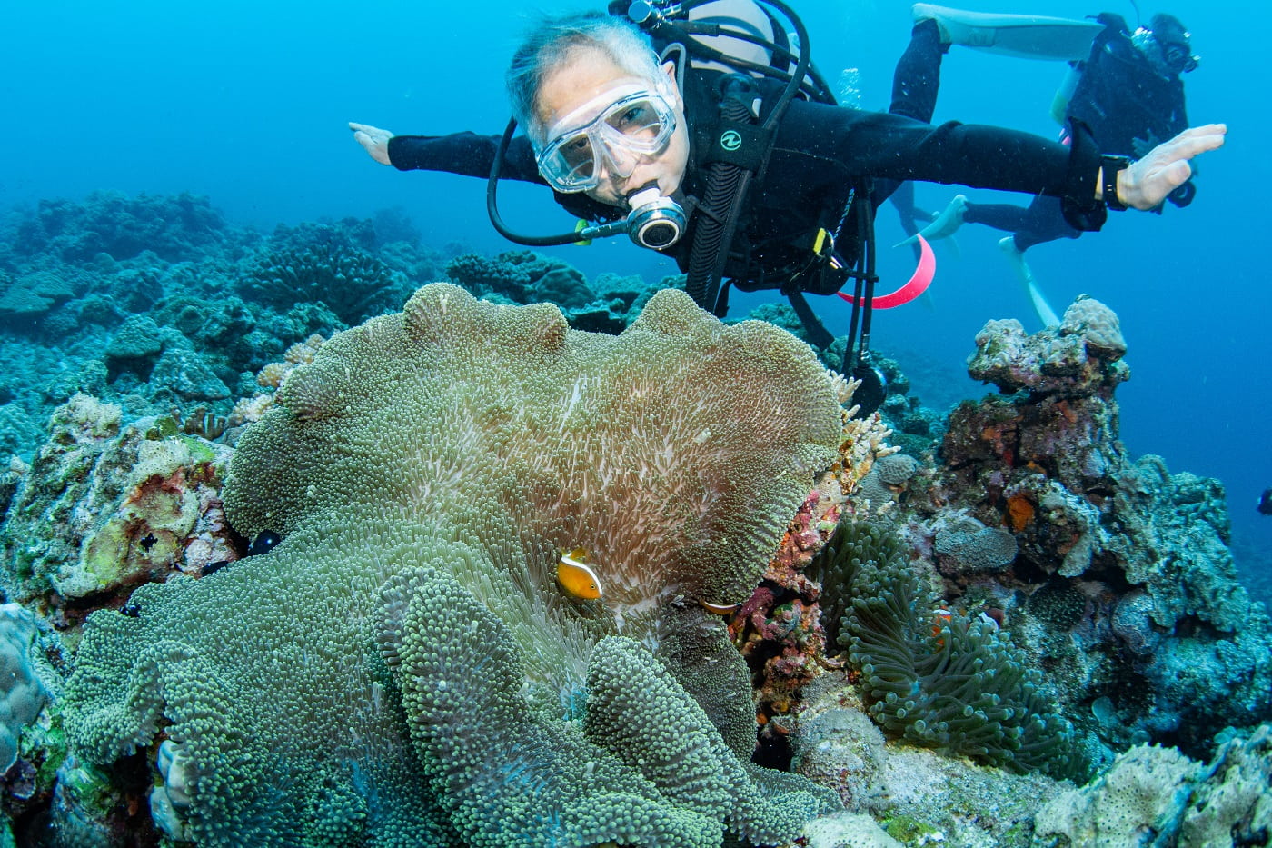 underwater scenery and guest in the Kerama Islands