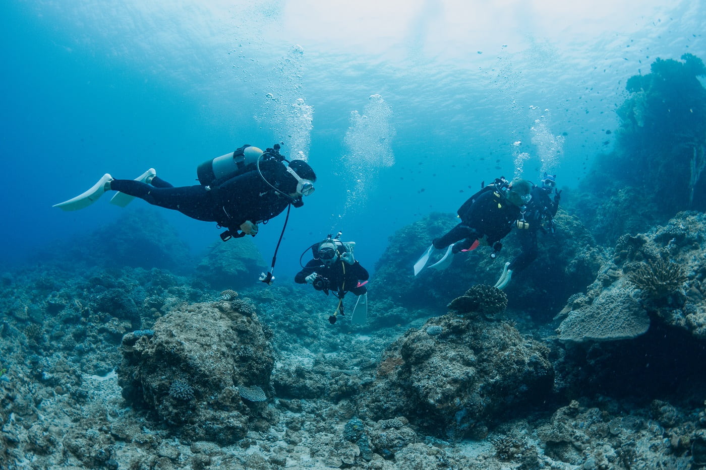 guests diving in the Kerama Islands