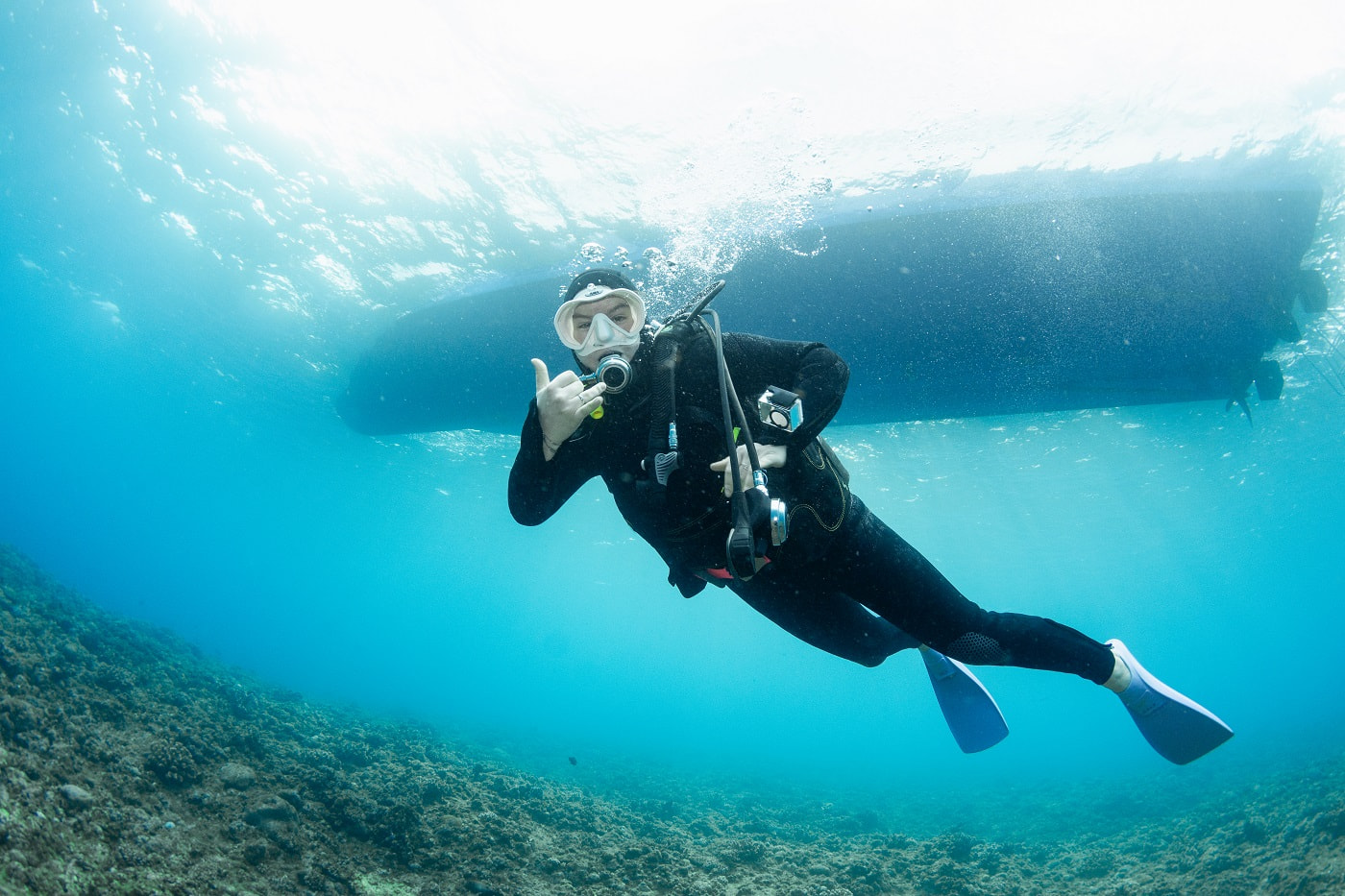 guest diving in the Kerama Islands
