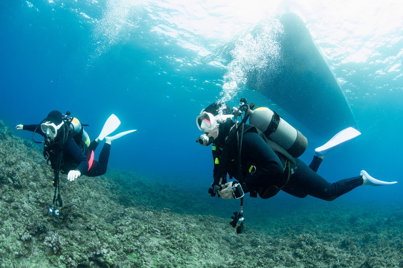 guests diving in the Kerama Islands