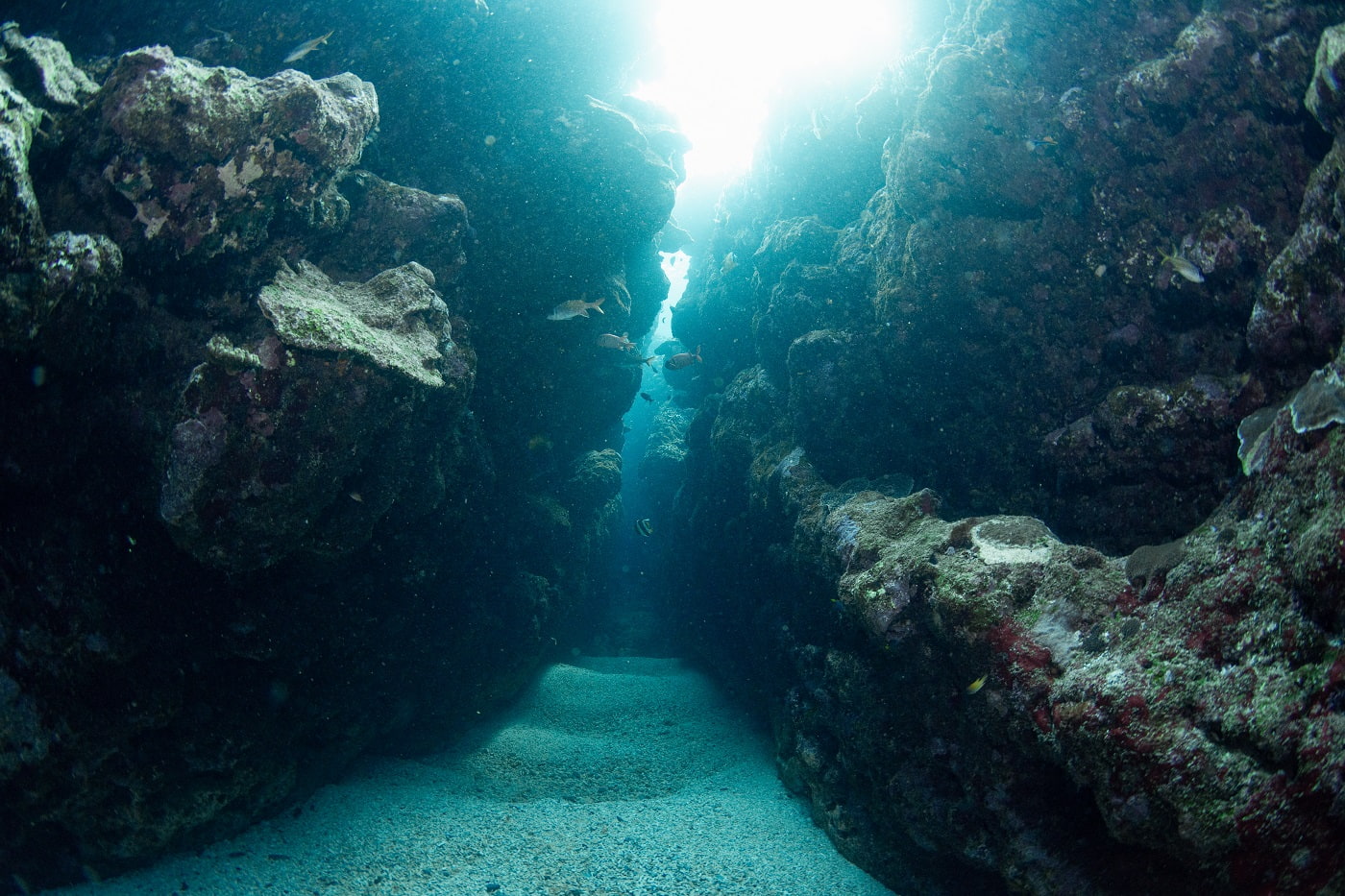 beautiful underwater topography
