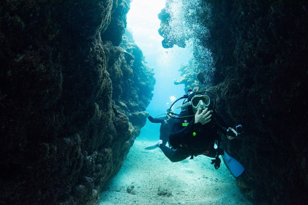 beautiful underwater topography and guest