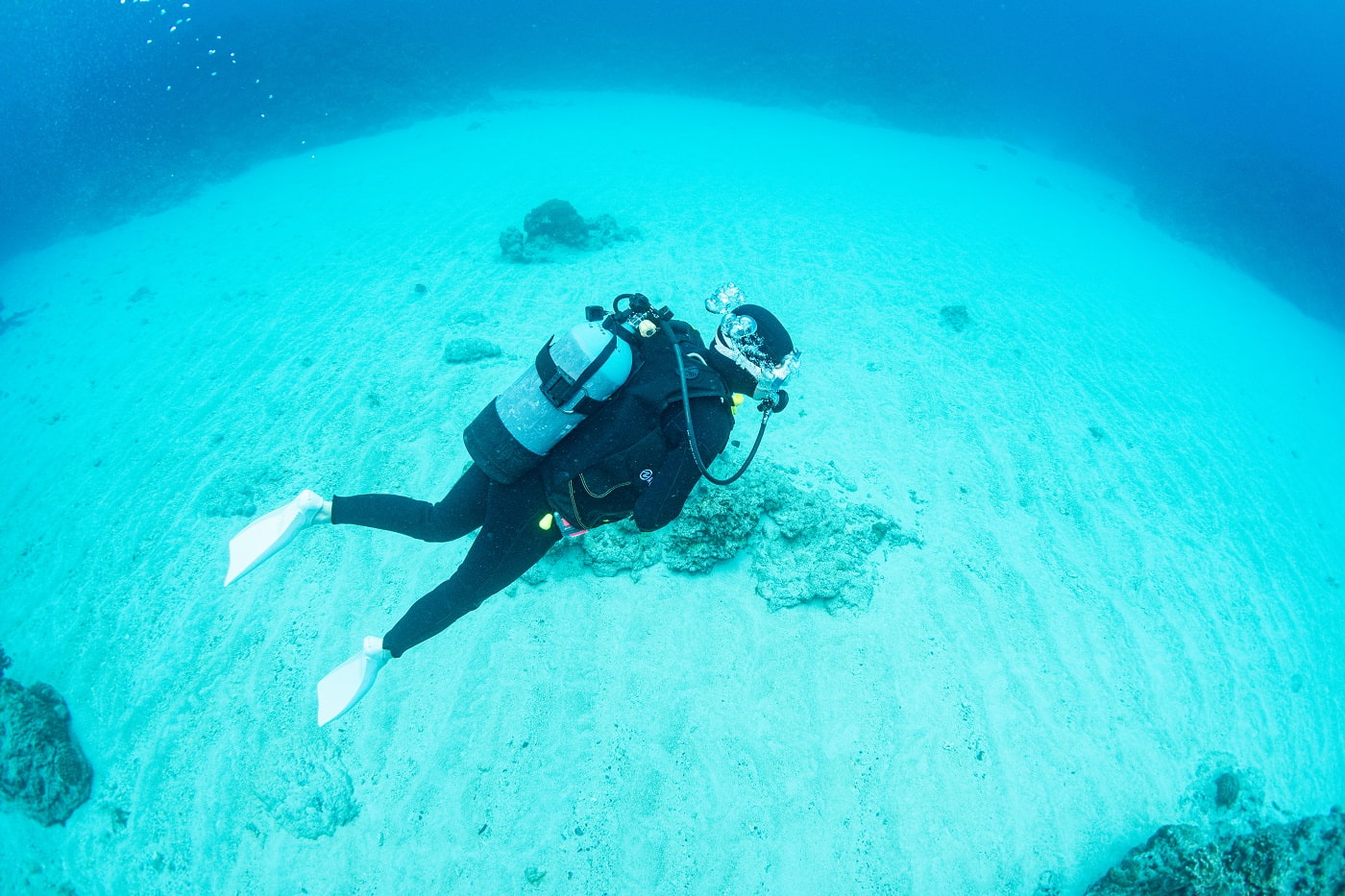 guest during the dive in the kerama islands
