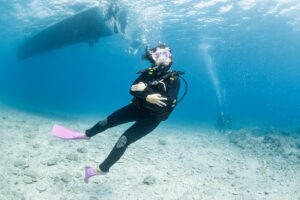 Diving in the Kerama Islands With Guests From Italy! Zebra Shark and Whitetip Reef Shark.