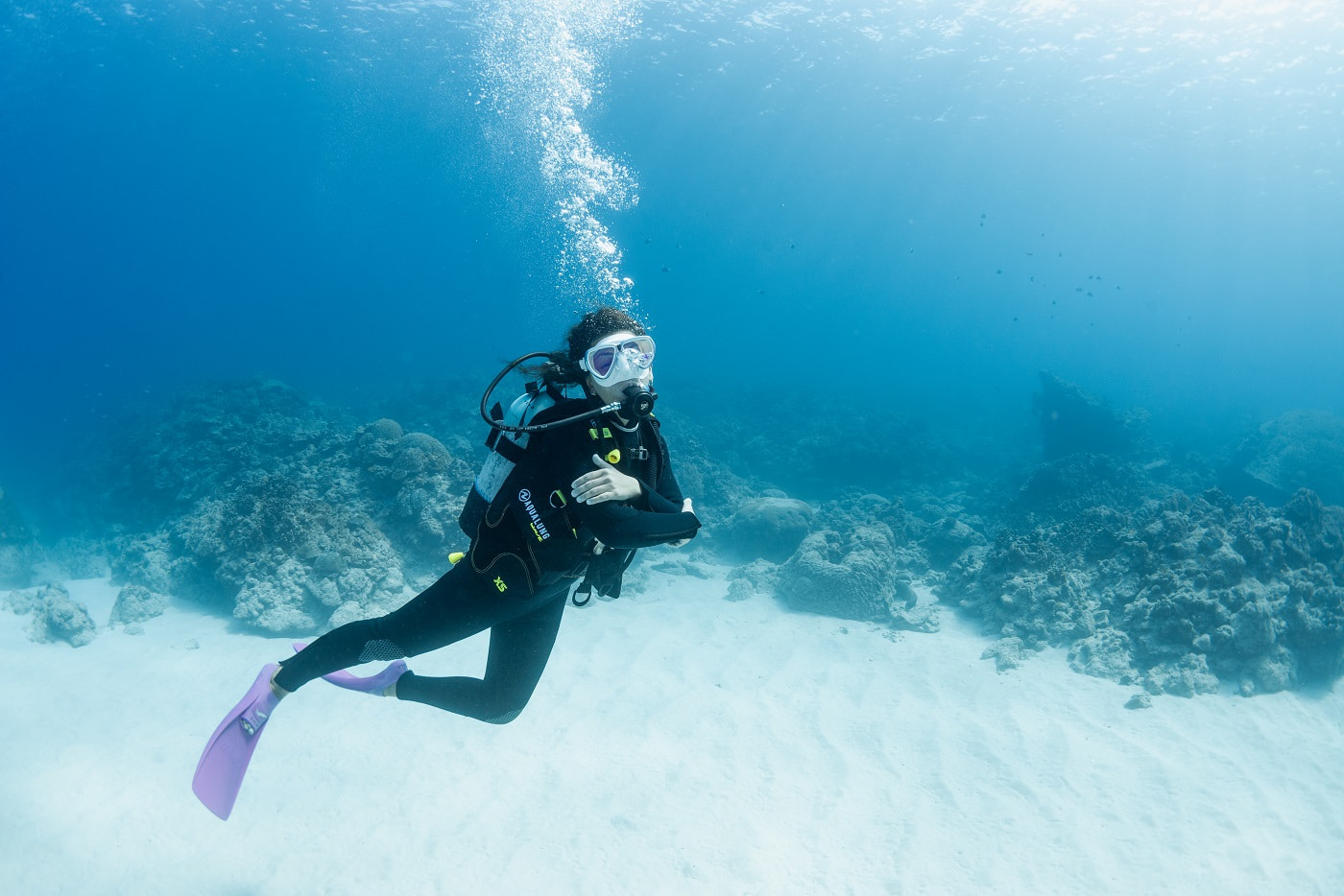 Guest diving in the Kerama Islands