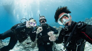Diving in the Kerama Islands With Guests From Australia! Whitetip Reef Shark, Beautiful Cave.