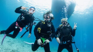 Diving in the Kerama Islands With Guests From the UK, Germany, and Thailand! Turtles and Dramatic Underwater Scenery!
