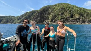 Kerama Islands Diving Tour With Guests From Spain, Germany, and Denmark! Beautiful Underwater Topography, Clownfish