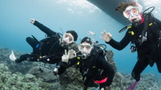 Diving in the Kerama Islands With Guests From Germany and Argentina! Clownfish