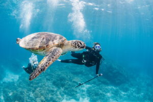 Solo Travelers & Tourists Welcome - Fun Diving in the Kerama Islands