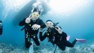 Diving in the Kerama Islands With Guests From Russia and Canada! Big Ray, Amazing Visibility