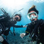 Diving in the Kerama Islands With Guests From Germany! Sea Turtles and Sharks.