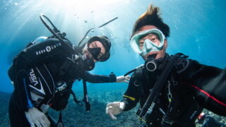 Diving in the Kerama Islands With Guests From Germany! Sea Turtles and Sharks.